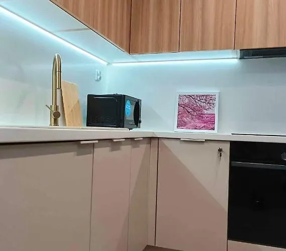 公寓 Manupark 罗兹